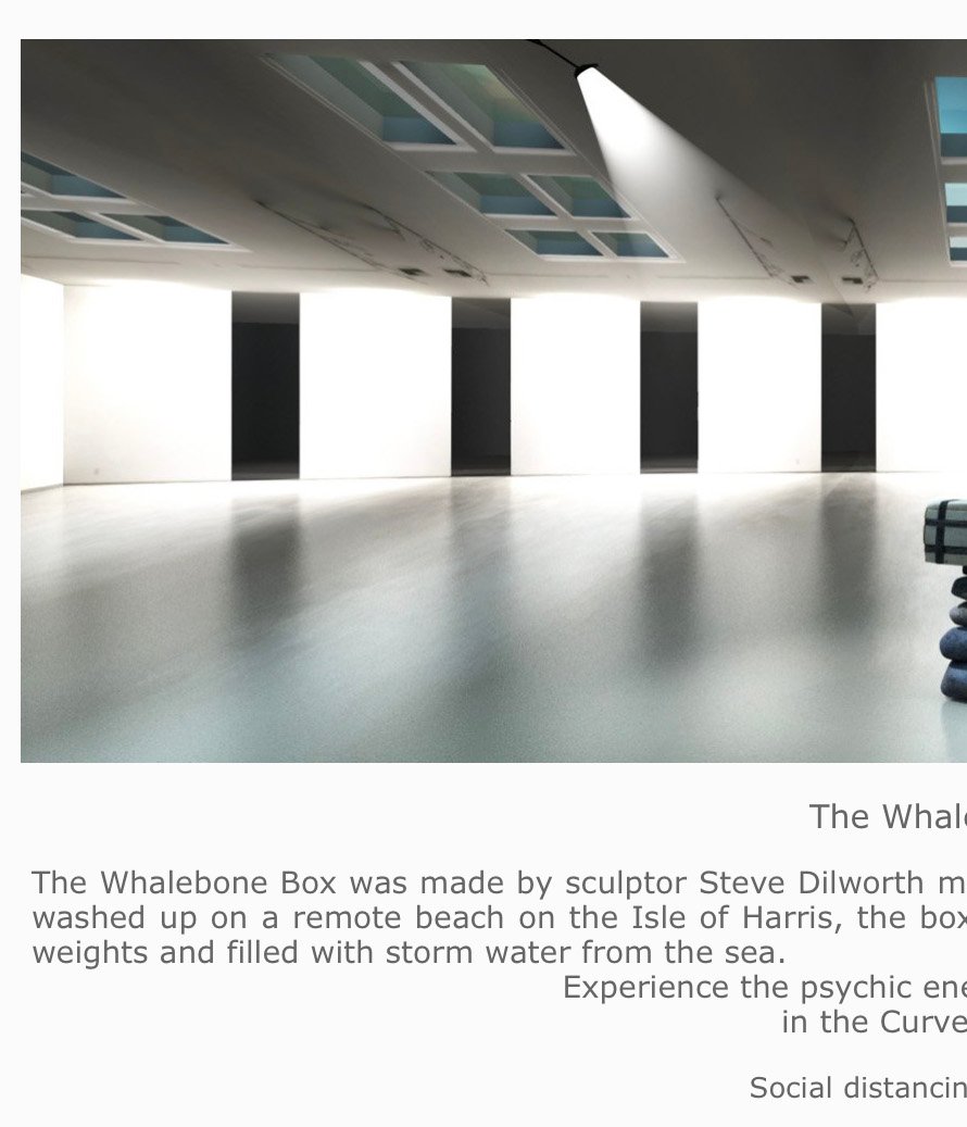 Whalebone Box at Orbital Gallery